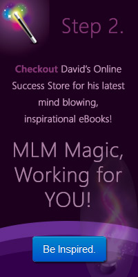 David's MLM Success Store